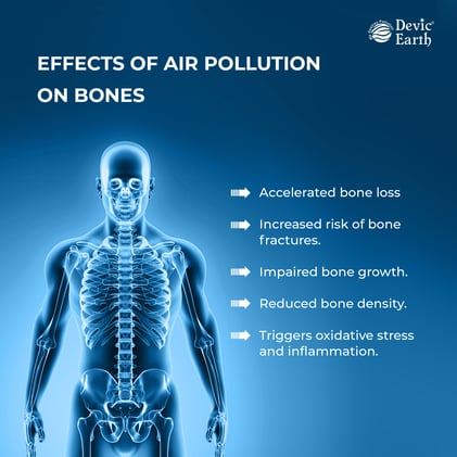 Effects of AP on bones